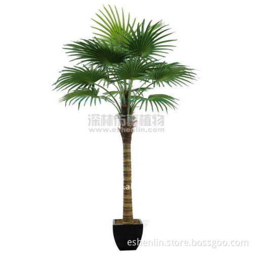 supply artificial fan palm tree,fan palm leaves